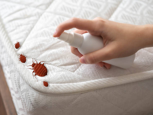 Best Residential Pest Control  in Lawson, MO